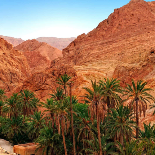 L’Enchantement du Désert Tunisien : Un Voyage Hors du Temps