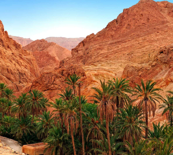 L’Enchantement du Désert Tunisien : Un Voyage Hors du Temps